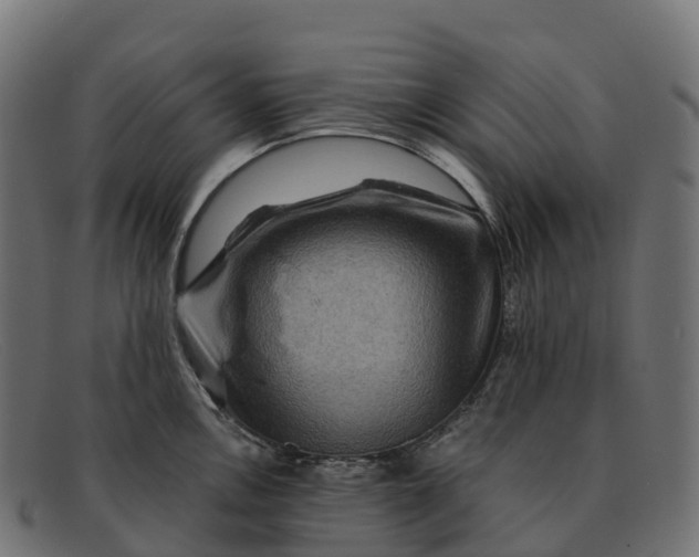 X0000091691146200709131602