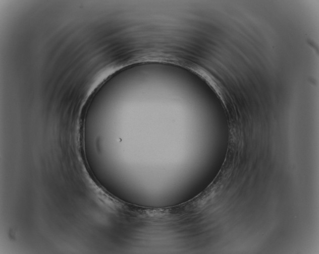 X0000091691147200709131602