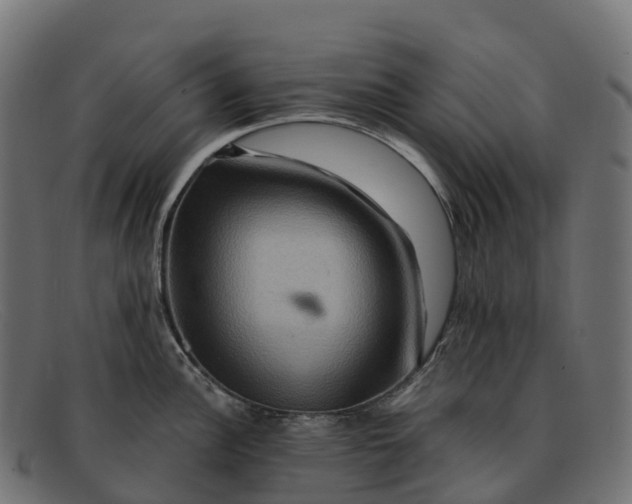 X0000091691148200709131602