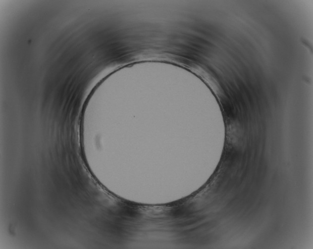 X0000091691150200709131602