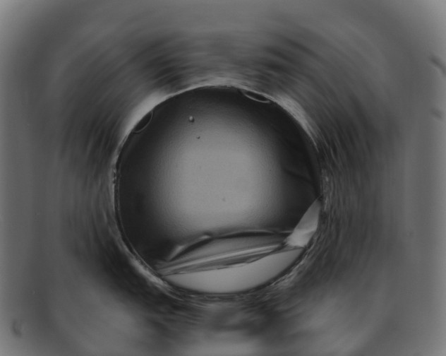 X0000091691151200709131602