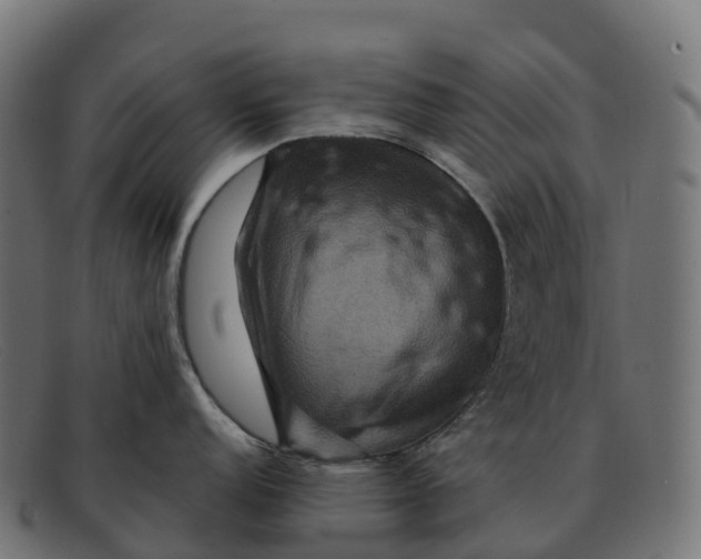 X0000091691152200709131602