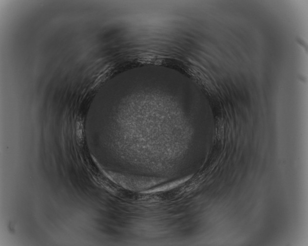 X0000091691154200709131601