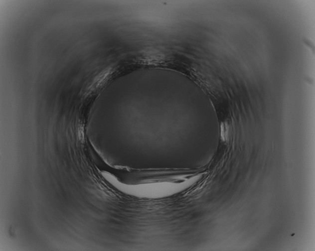 X0000091691155200709131601