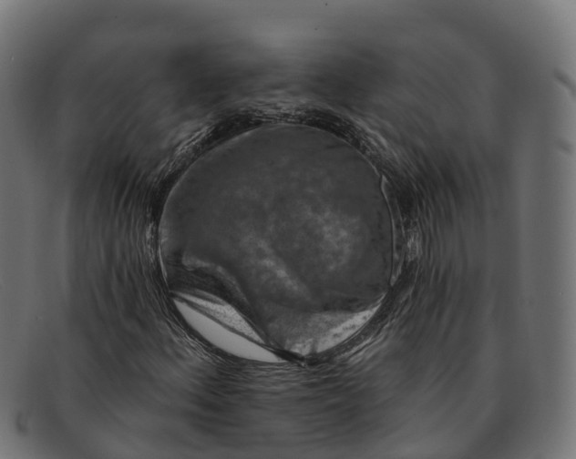 X0000091691156200709131601