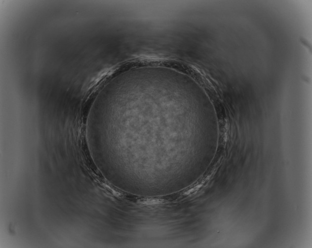 X0000091691157200709131601