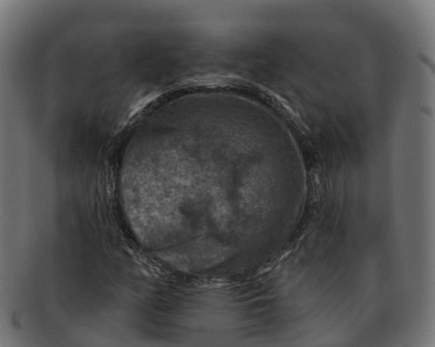 X0000091691158200709131601