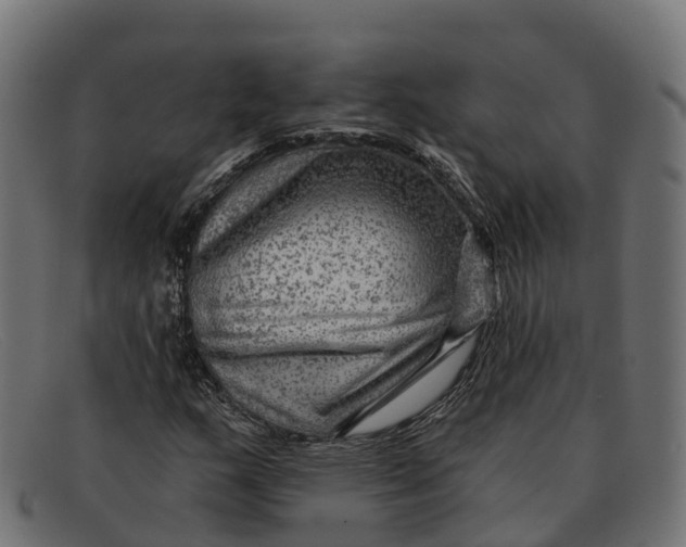 X0000091691159200709131601