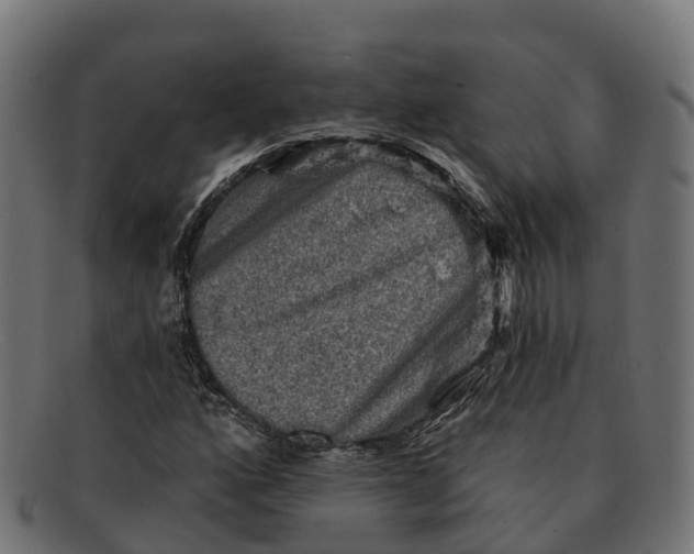 X0000091691160200709131601