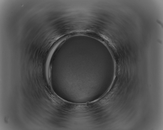 X0000091691161200709131601