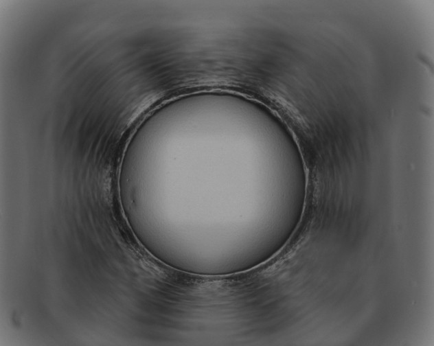 X0000091691162200709131601