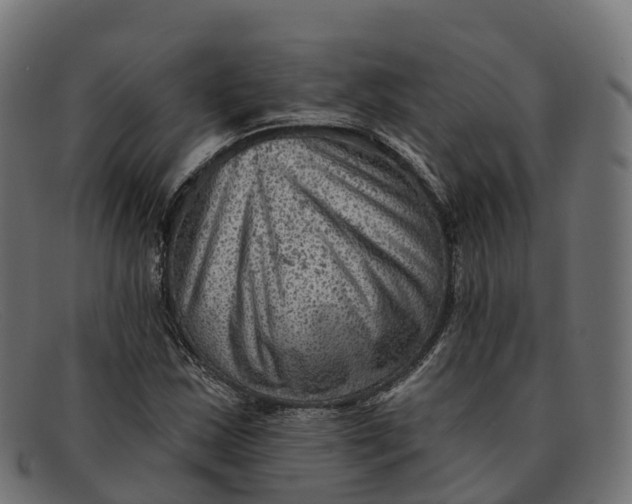 X0000091691163200709131601