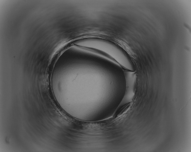 X0000091691164200709131601