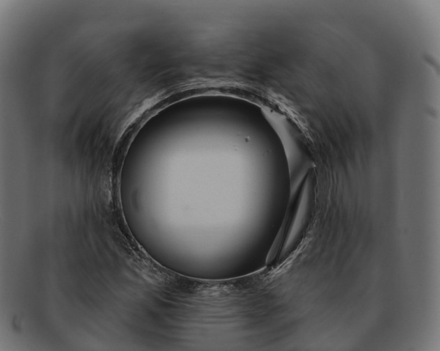 X0000091691165200709131601