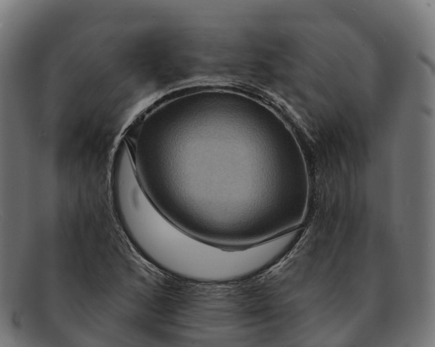 X0000091691168200709131601