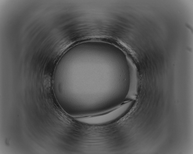 X0000091691169200709131601