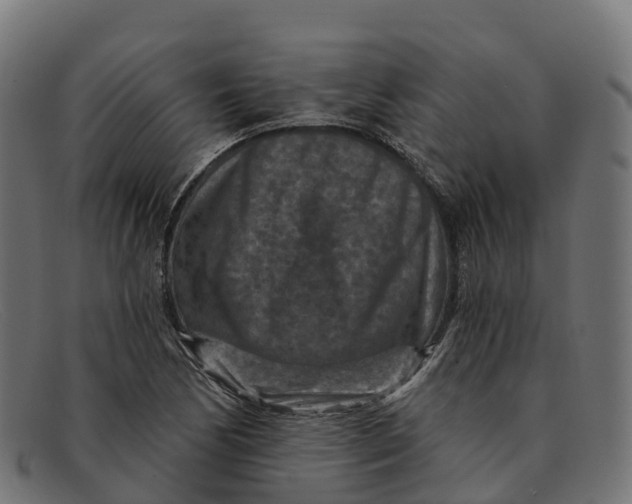 X0000091691170200709131601