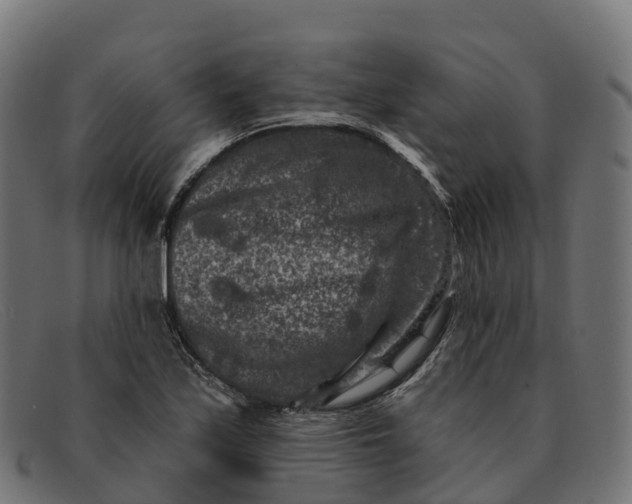 X0000091691171200709131601