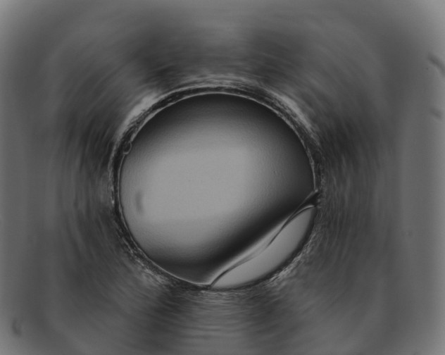 X0000091691172200709131601