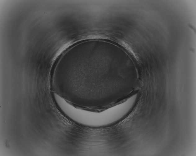 X0000091691173200709131601