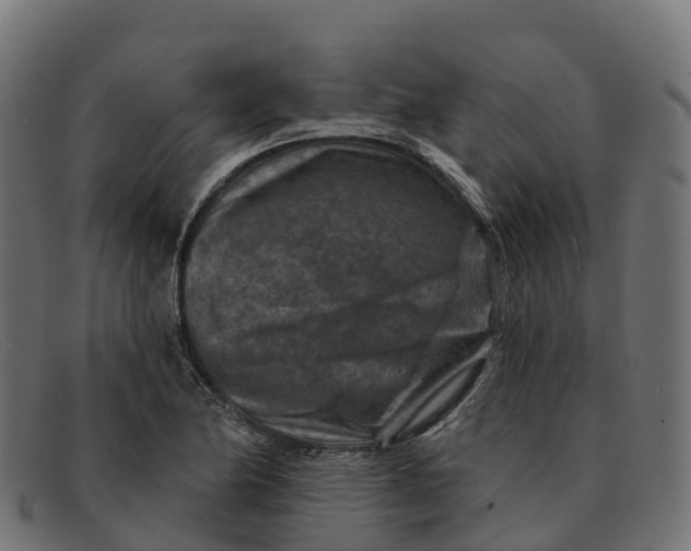 X0000091691174200709131601