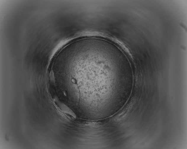 X0000091691175200709131601