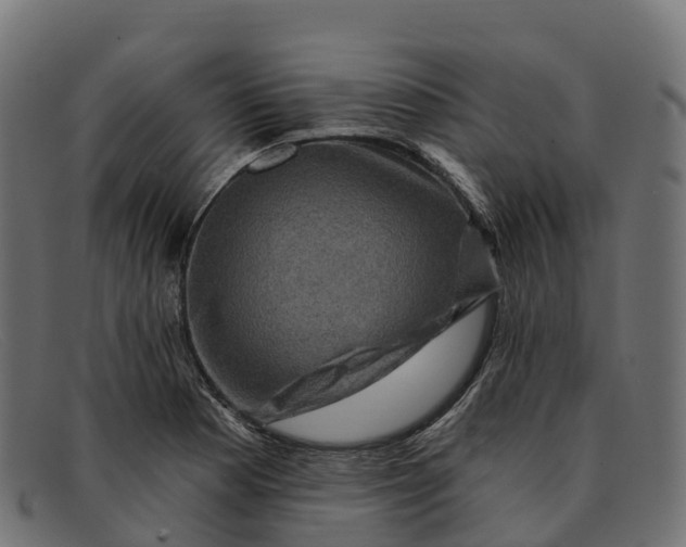 X0000091691177200709131601