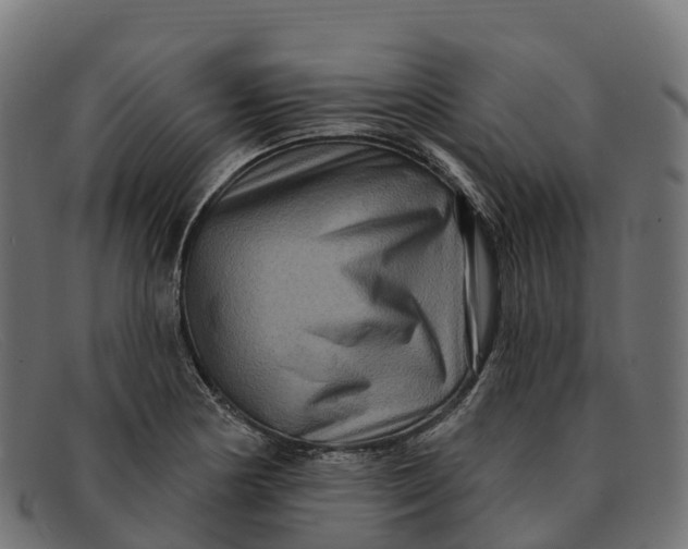 X0000091691178200709131601