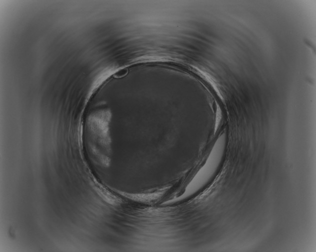 X0000091691179200709131601