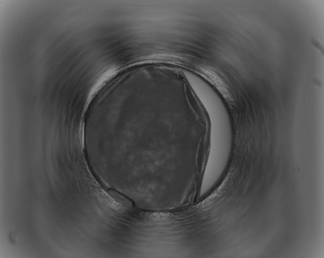 X0000091691180200709131601