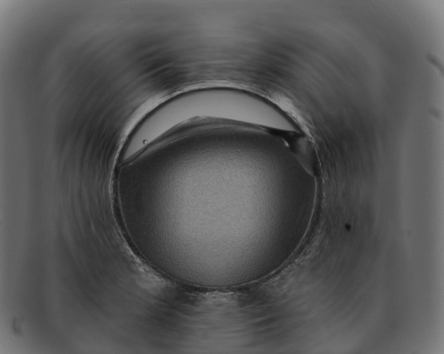 X0000091691181200709131601