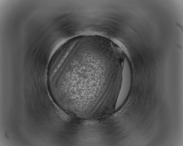 X0000091691183200709131601