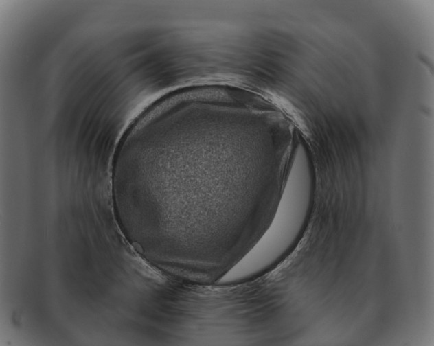 X0000091691184200709131601