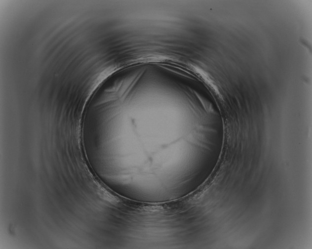 X0000091691186200709131601