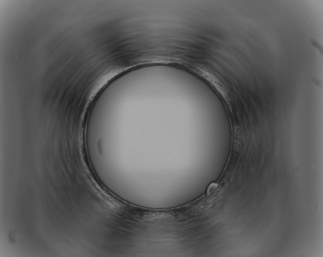 X0000091691187200709131601