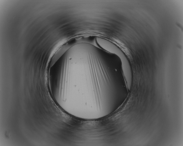 X0000091691188200709131601