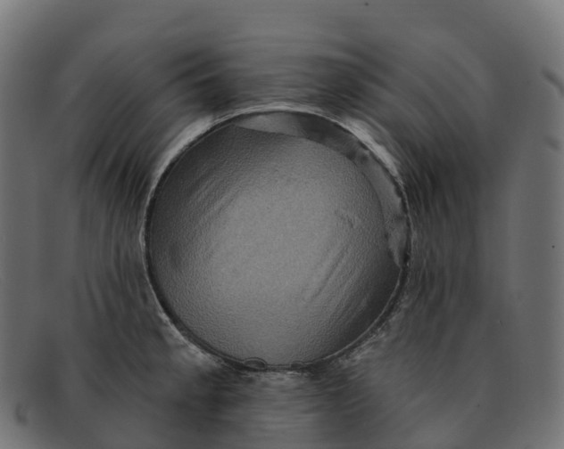 X0000091691189200709131601