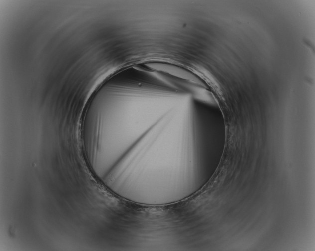 X0000091691190200709131601