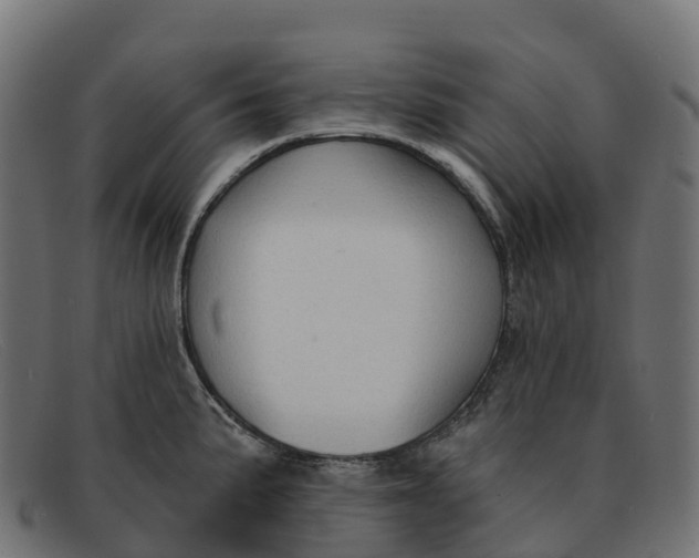 X0000091691191200709131601