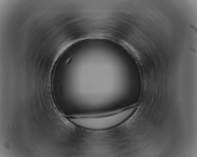 X0000091691192200709131601