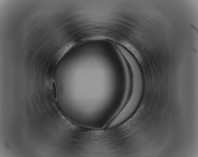 X0000091691193200709131601