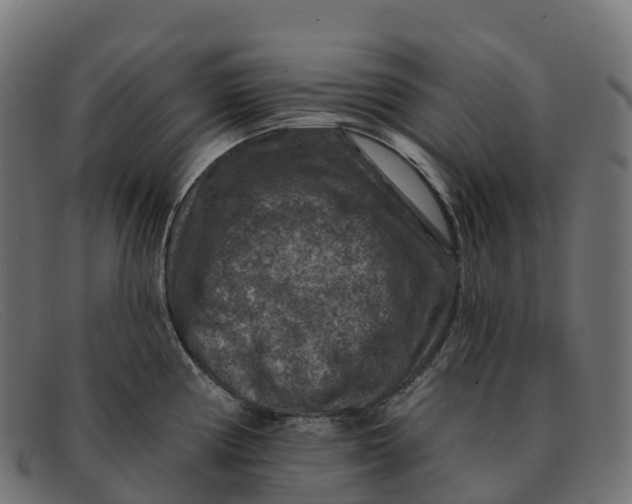 X0000091691194200709131601