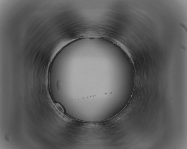 X0000091691195200709131601