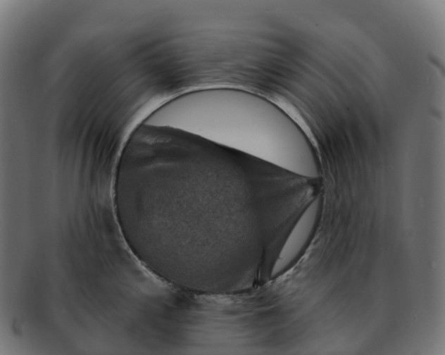 X0000091691197200709131601