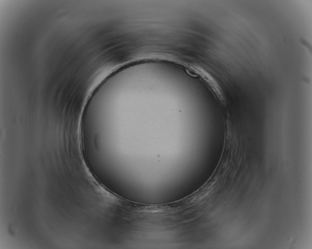 X0000091691199200709131601