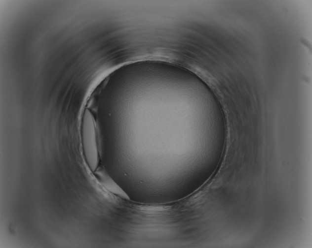 X0000091691200200709131601