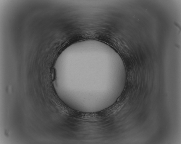 X0000091691201200709131600