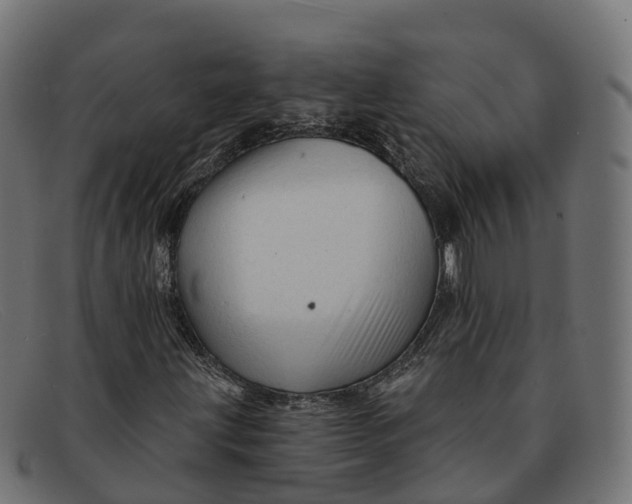 X0000091691203200709131600