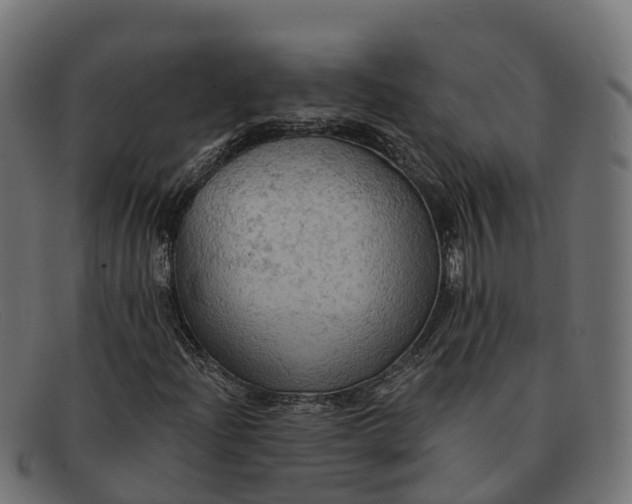 X0000091691204200709131600