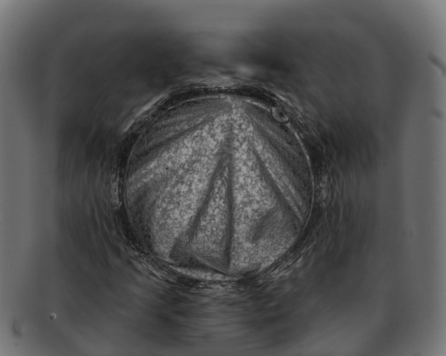 X0000091691205200709131600